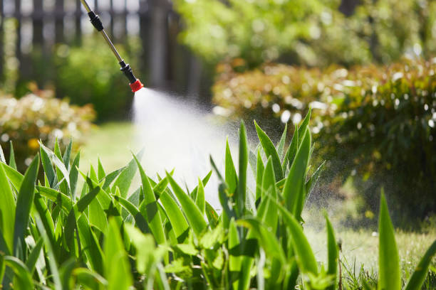 24/7 Emergency Wasp Removal experts in Murphys, CA