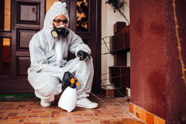Reliable Wasp Removal contractor in Murphys, CA by Show Me Pest Control